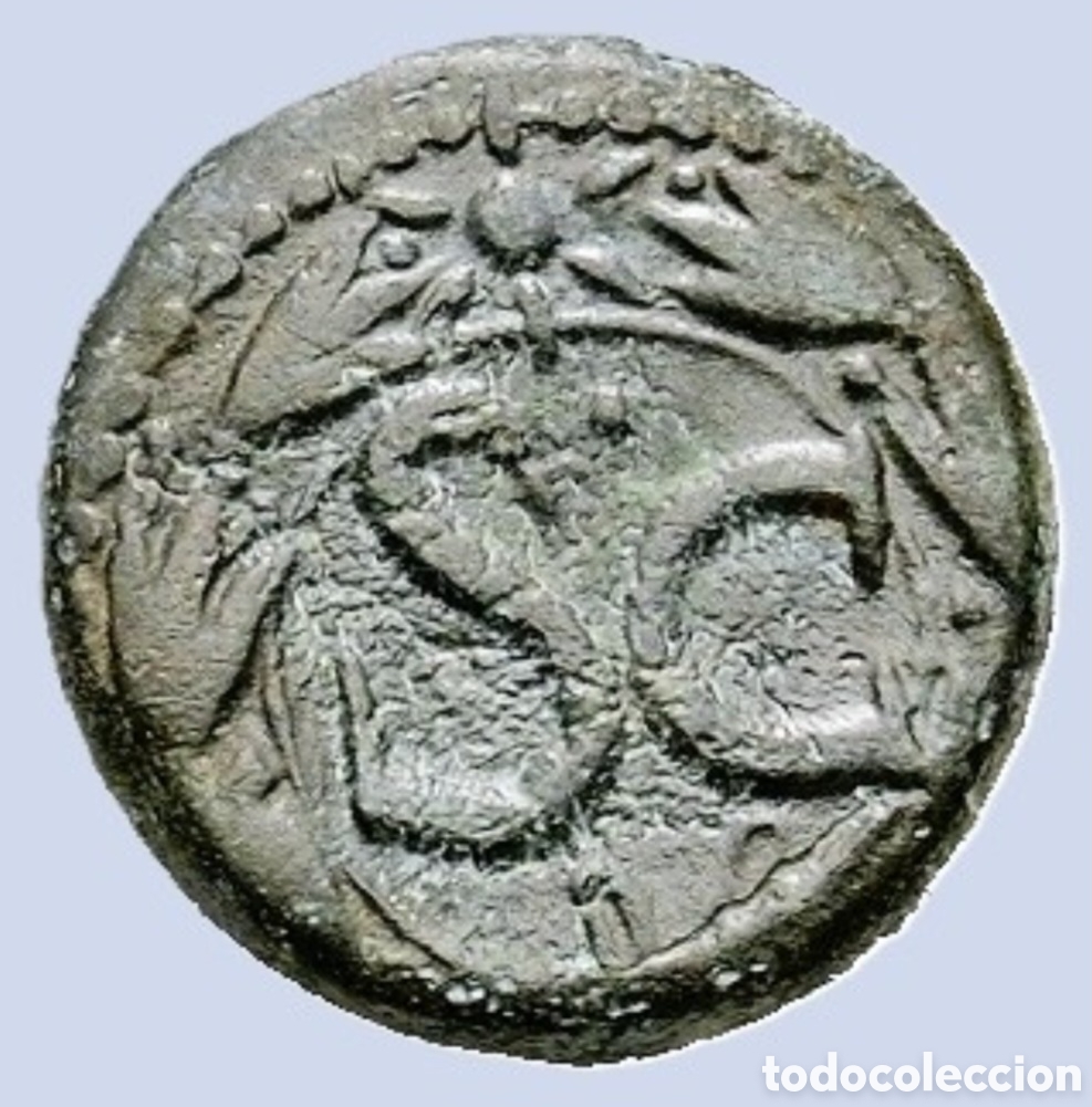Monedas Imperio Romano: Semis DEL EMPERADOR Claudio (41-54 d. C.) Bronce de bronce (19,7 mm, 7,5 g)