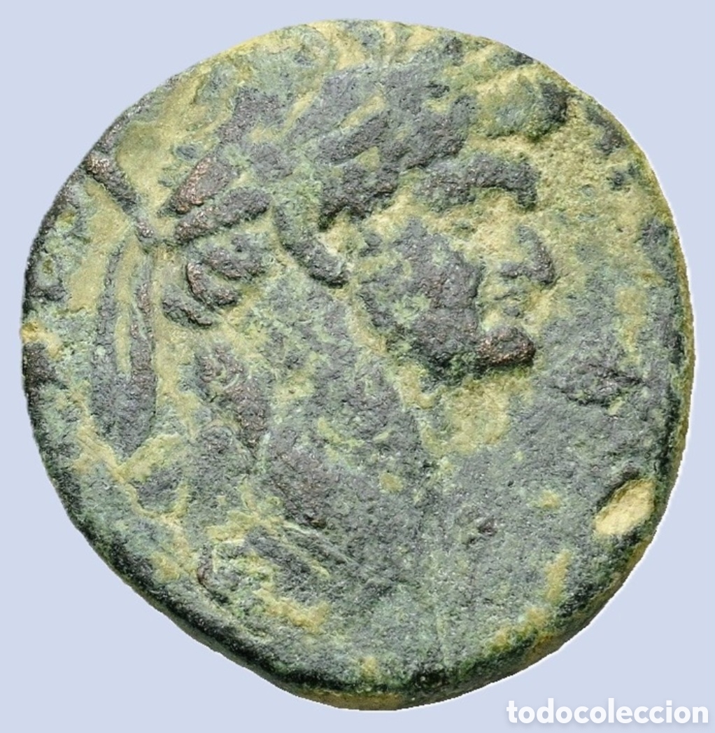 Monedas Imperio Romano: AS Domiciano (81-96 d.C.) Bronce de bronce (25,4 mm, 11,9 g) EN MBC .