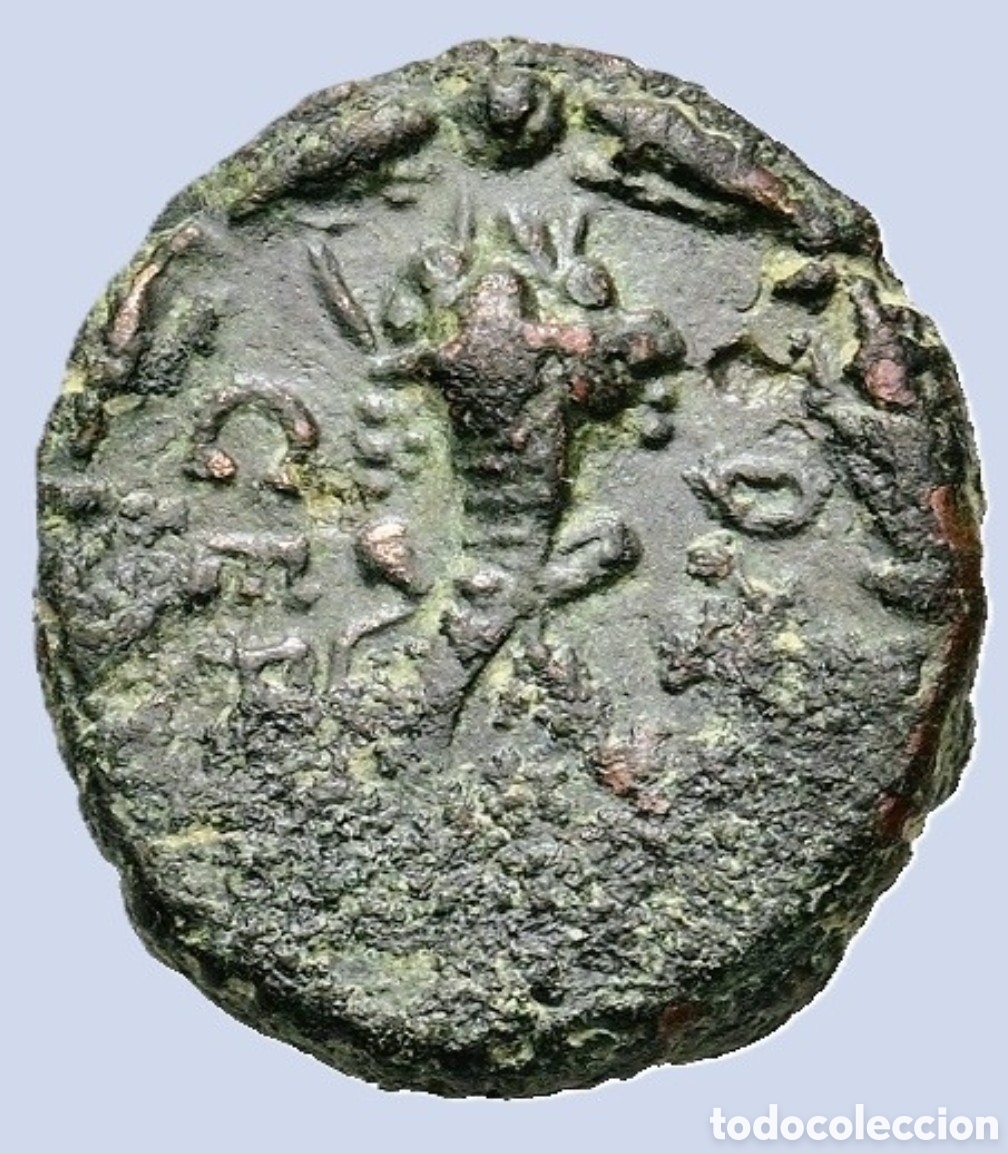 Monedas Imperio Romano: Trajano (98-117 d. C.) Bronce AE (16,5 mm, 4,6 g)EN MB