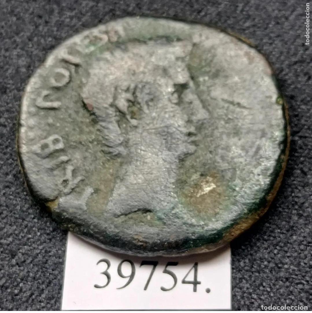 Monedas Imperio Romano: Hispania, Roma, Em&eacute;rita, M&eacute;rida, 1 As, Octavio, P. Carisus leg Augusti., 37 a.C.-14 d.C,