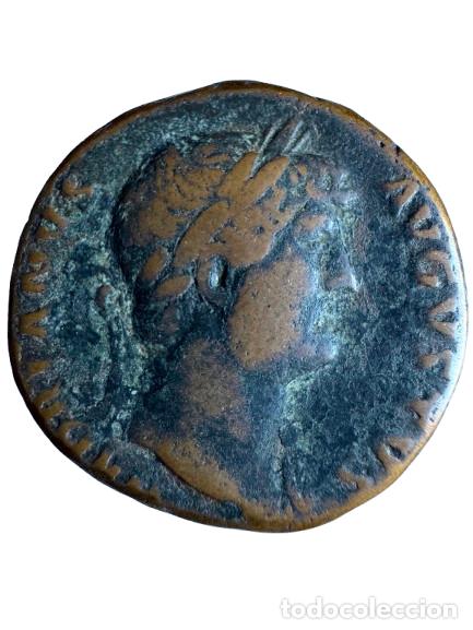 Monedas Imperio Romano: Adriano. As 121,6 gr. Rev/ COS III SC