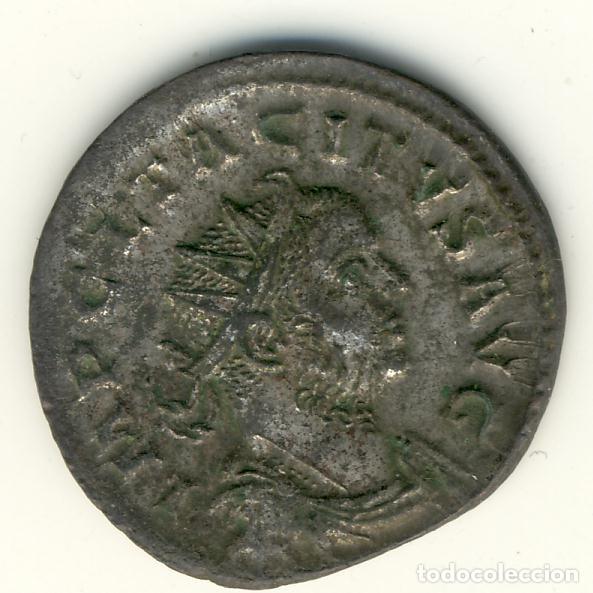 Monedas Imperio Romano: IMPERIO ROMANO - ANTONINIANO DE TACITO (LUGDUNM)