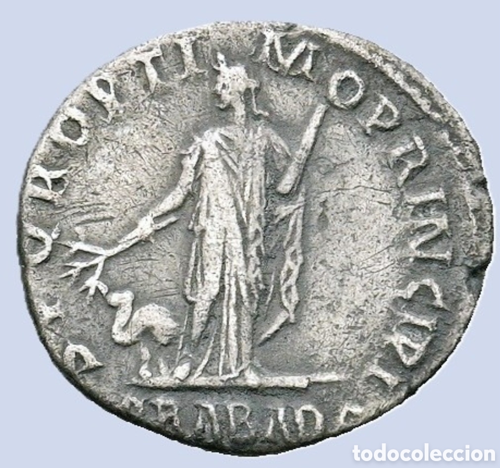 Monedas Imperio Romano: DENARIO DEL EMPERADOR Trajano (98-117 d. C.). Roma. Denario de plata (18,9 mm, 3,1 g).EN BMC