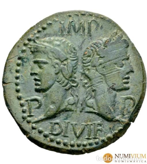 Monedas Imperio Romano: Augusto y Agripa. As. 10-14 d.C. Nemausus, Galia. (Ric-I 159). Preciosa P&aacute;tina