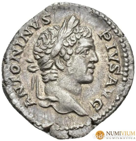 Monedas Imperio Romano: CARACALLA (198-217 dC). Denario. Roma (205). RIC 81. EBC