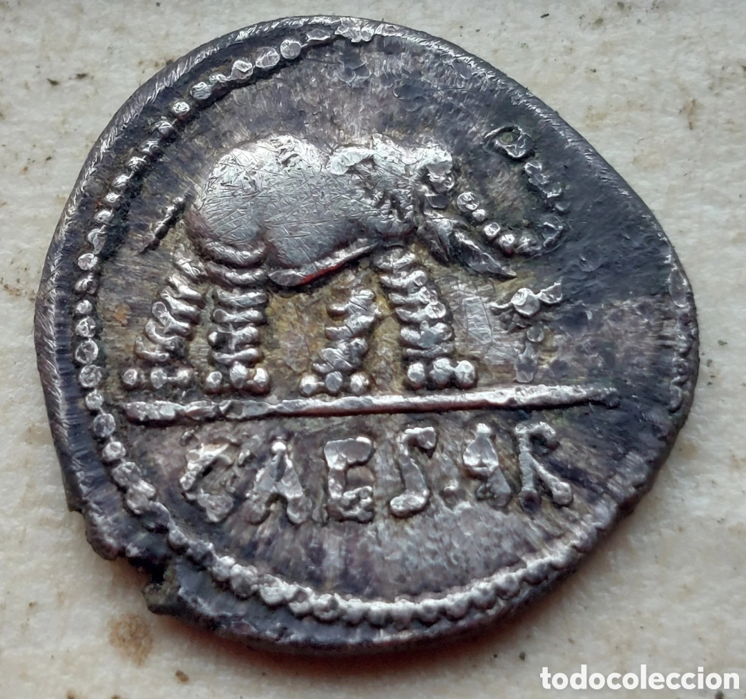 Monedas Imperio Romano: Denario plata Julio Cesar. Elefante. 49 a.C