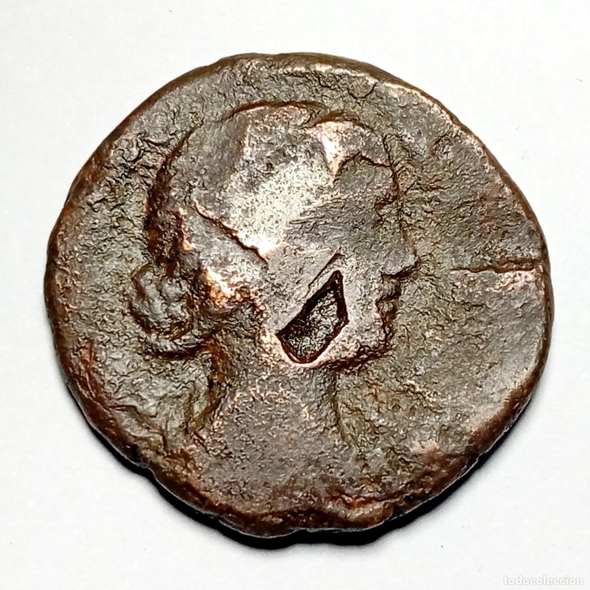 Monedas Imperio Romano: ⚜️ BBF5 4. Semis de Livia. AE 24. 7,93 g
