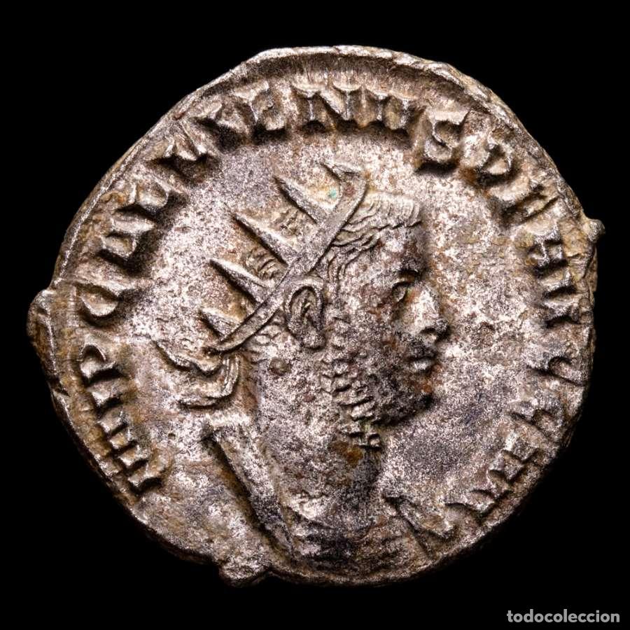 Monedas Imperio Romano: Galieno, 254-255 dC. Antoniniano. Viminacium, PAX AVGG - V