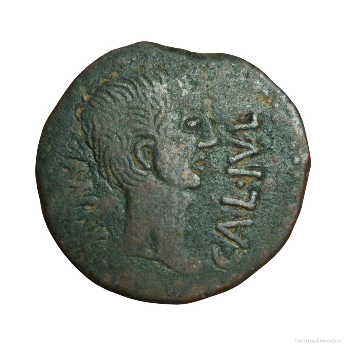 Monedas Imperio Romano: NT/ AS IBERORROMANO AUGUSTO CALAGURRIS (A1073)
