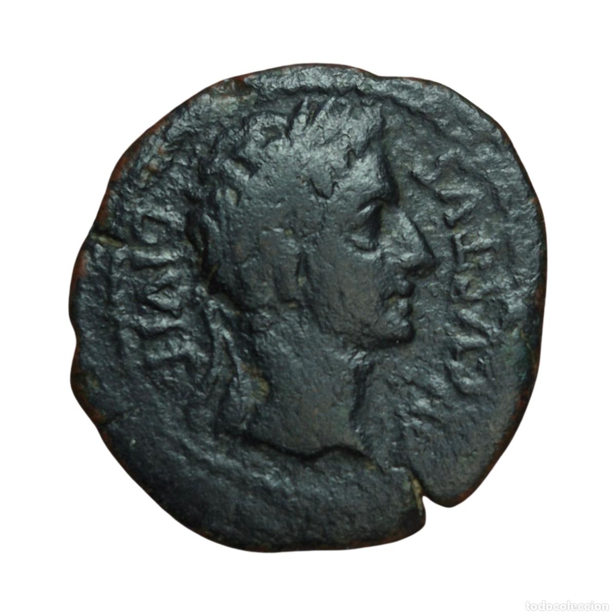 Monedas Imperio Romano: NT/ SEMIS IBERORROMANO AUGUSTO ILICI ESCASO (A1069)