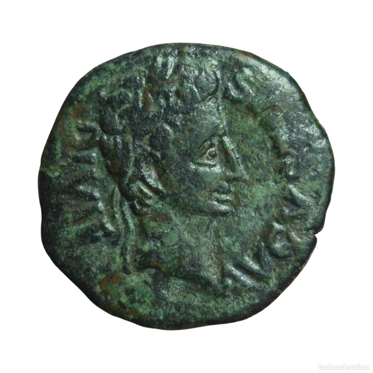 Monedas Imperio Romano: NT/ SEMIS IBERORROMANO AUGUSTO CARTAGONOVA (A1067)