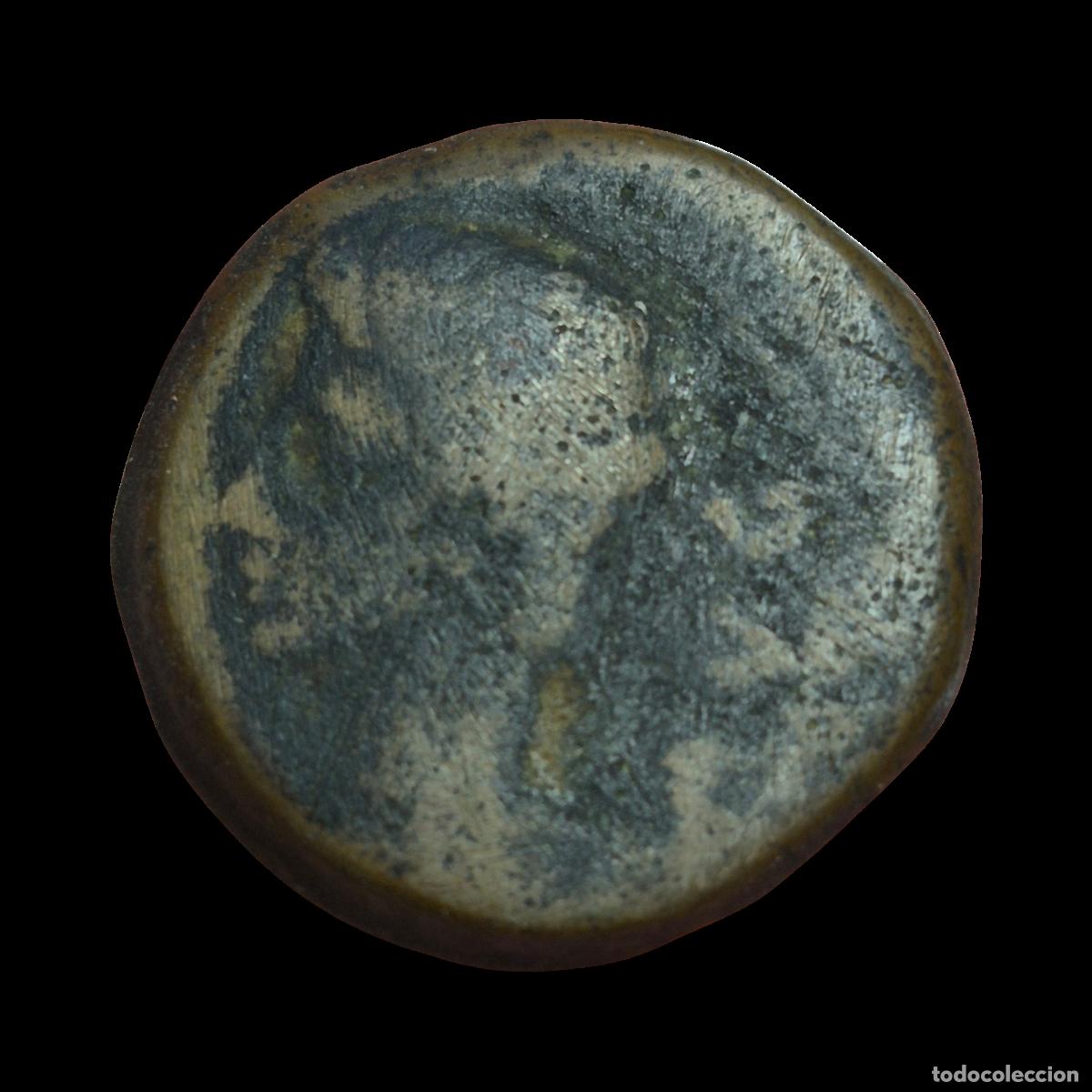 Monedas Imperio Romano: NT/ AS IBERORROMANO AUGUSTO IULIA TRADUCTA (A1068)