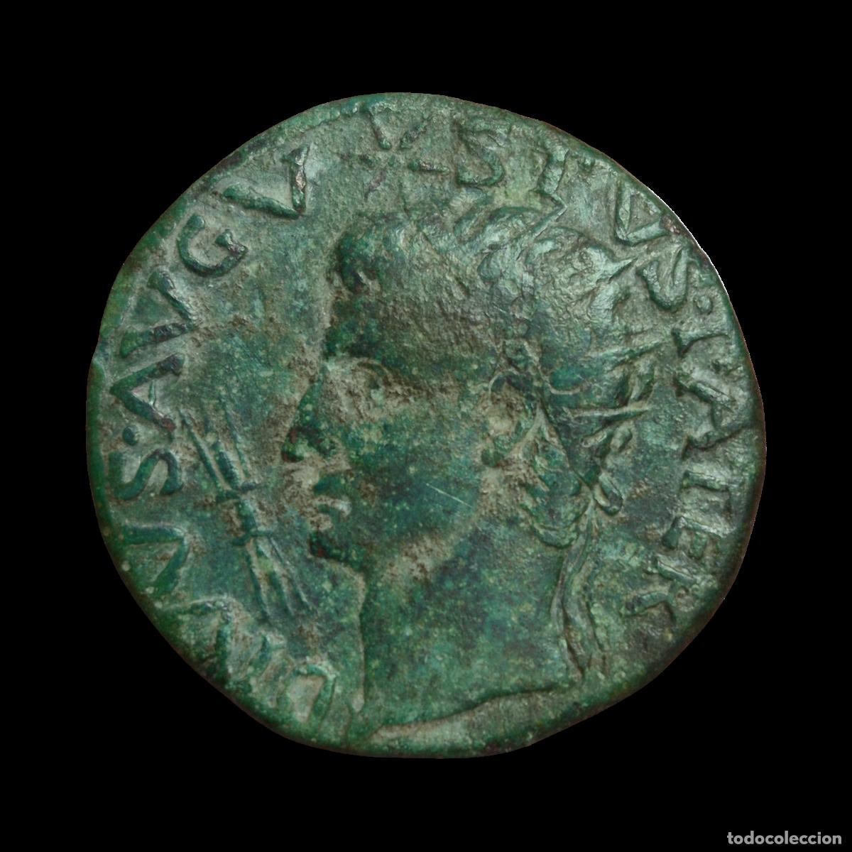 Monedas Imperio Romano: NT/ DUPONDIO AUGUSTO LIVIA 15-16 d.C. (A1082)