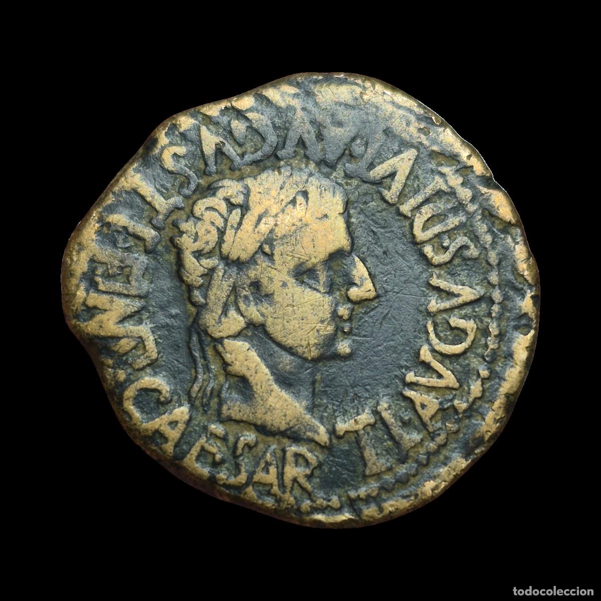 Monedas Imperio Romano: NT/ AS IBERORROMANO TIBERIO CALAGURRIS (A928)