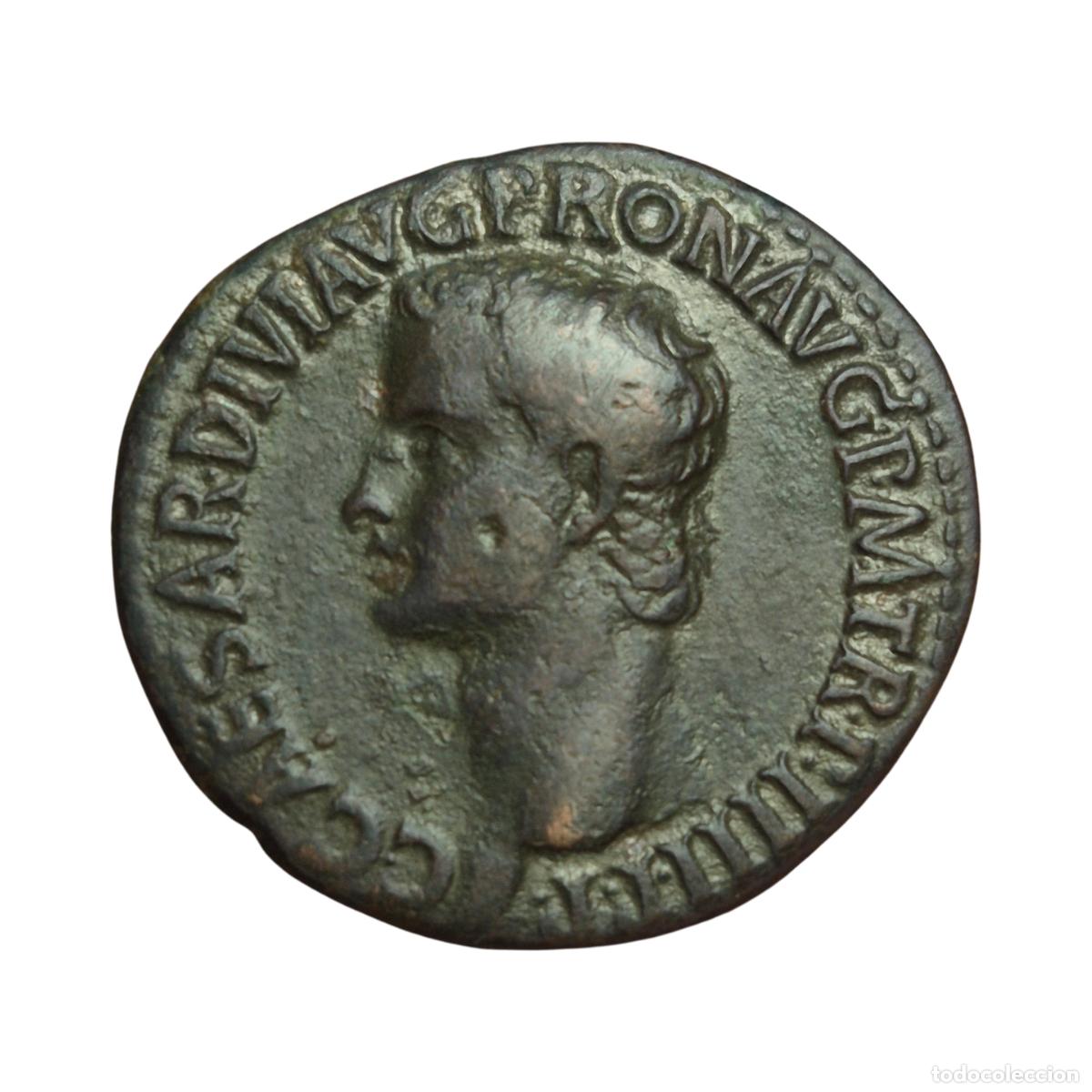 Monedas Imperio Romano: NT / AS CALIGULA 37-38 d.C. BONITO (A906)