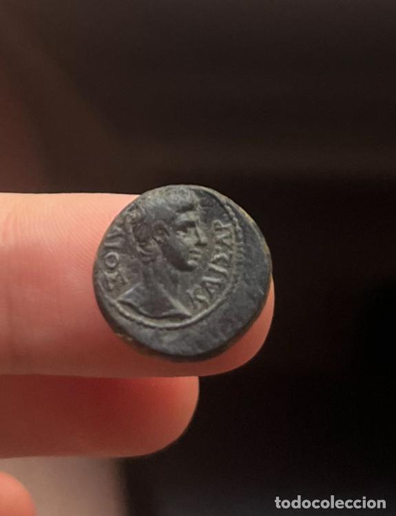 Monedas Imperio Romano: Moneda Romana Antigua Rara. Sucesor de Augusto Gayo