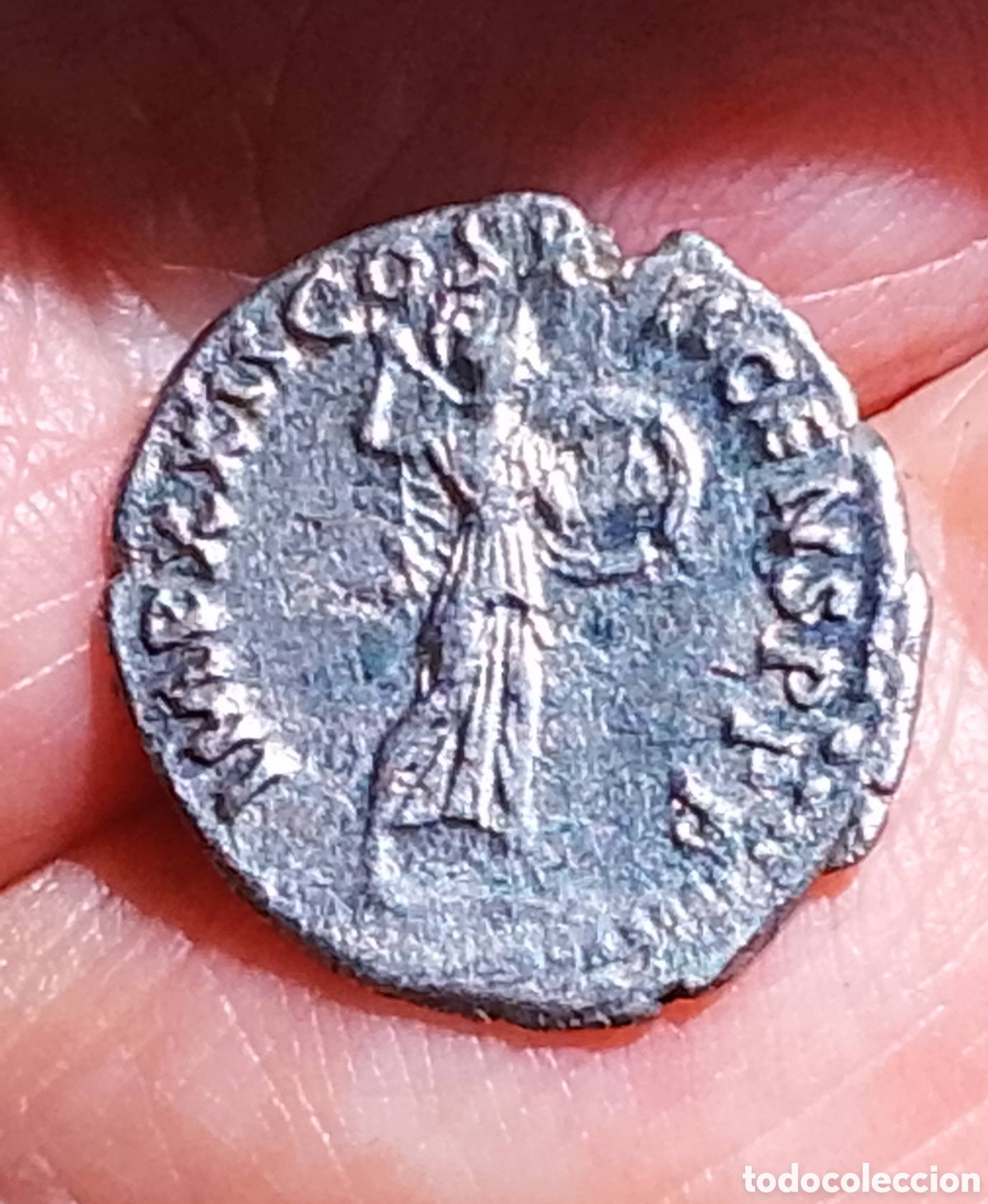 Monedas Imperio Romano: DENARIO DEL EMPERADOR Domiciano Denario de plata (19,9 mm, 2.99gra E N aMBC