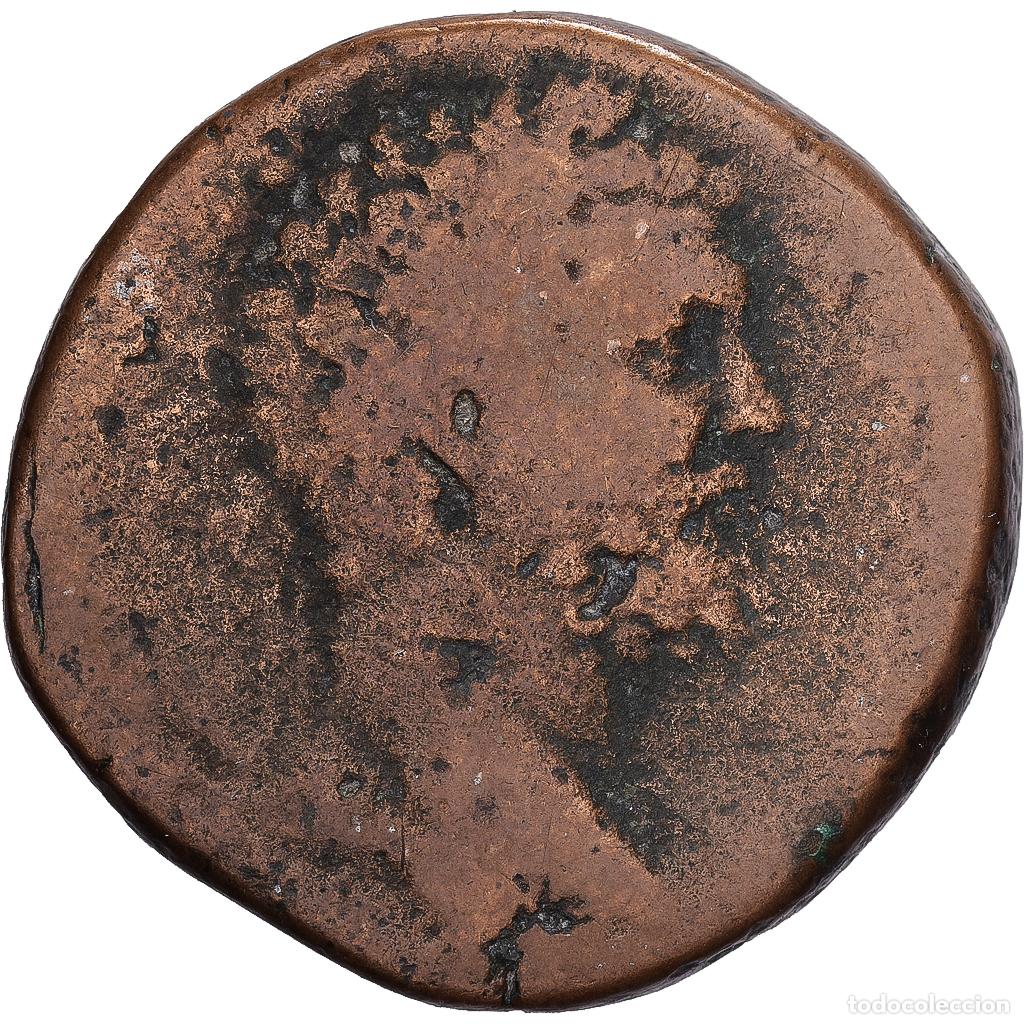 Monedas Imperio Romano: [#1203016] Roman Empire, Septimius Severus, Sestercio, 195, Rome, Bronce, BC