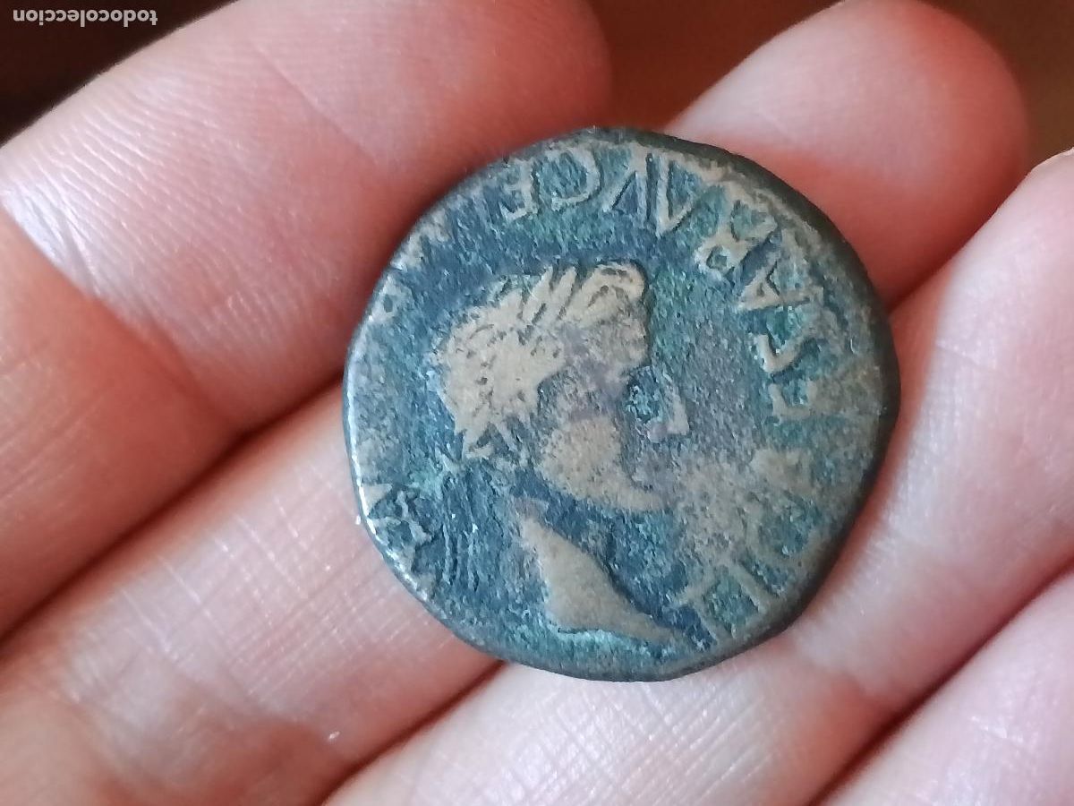 Monedas Imperio Romano: As romano de Calagurris, Calahorra