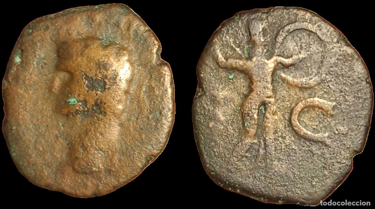Monedas Imperio Romano: As del Emperador romano Claudio. 58 aC. Reverso MINERVA con lanza