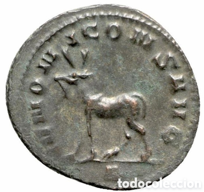 Monedas Imperio Romano: Salonina (Augusta, 254-268). Antoniniano (23 mm, 3,57 g, 6 h). Roma, AR