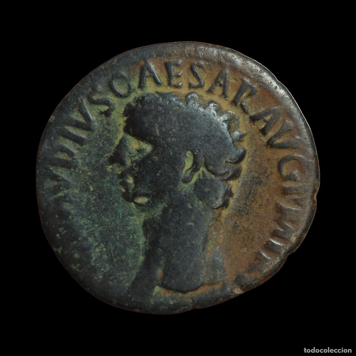 Monedas Imperio Romano: NT/ AS CLAUDIO REV. PALAS (A1094)