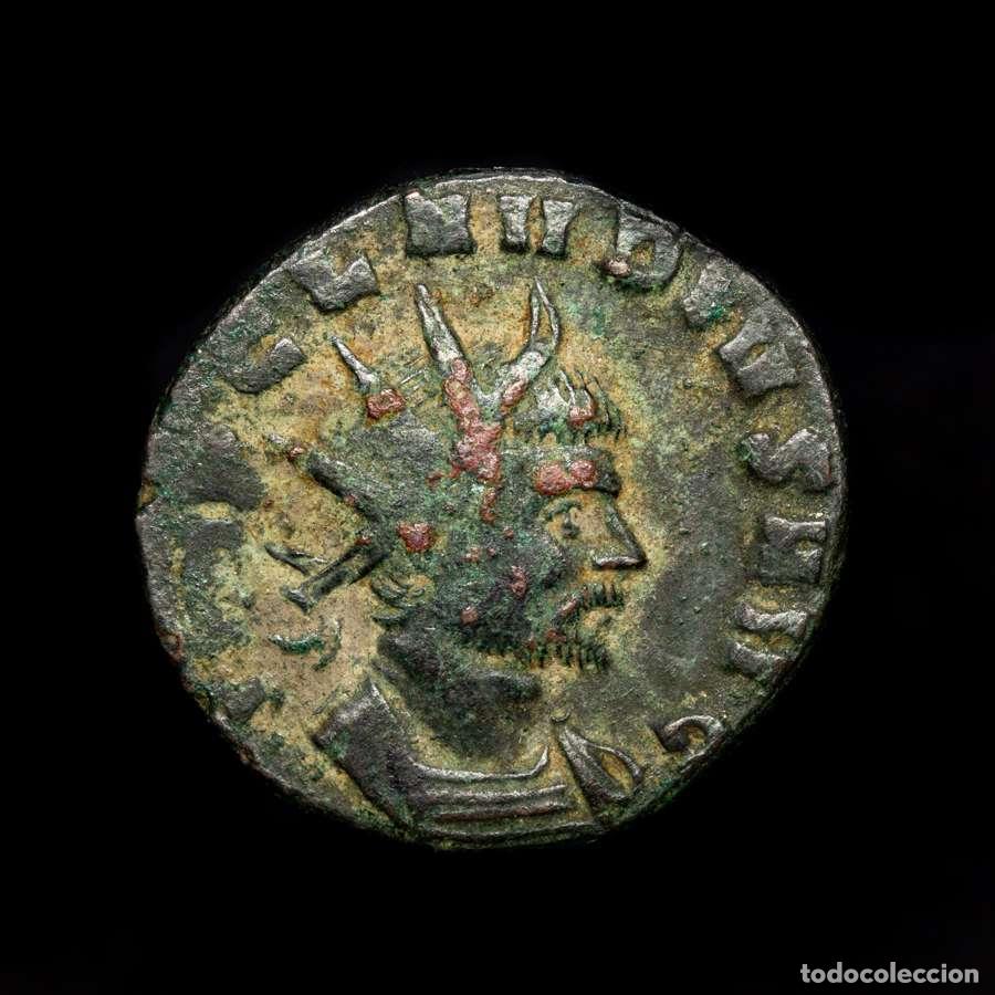 Monedas Imperio Romano: Imperio Romano - Claudio. Antoniniano AE. PAX AVGVSTI