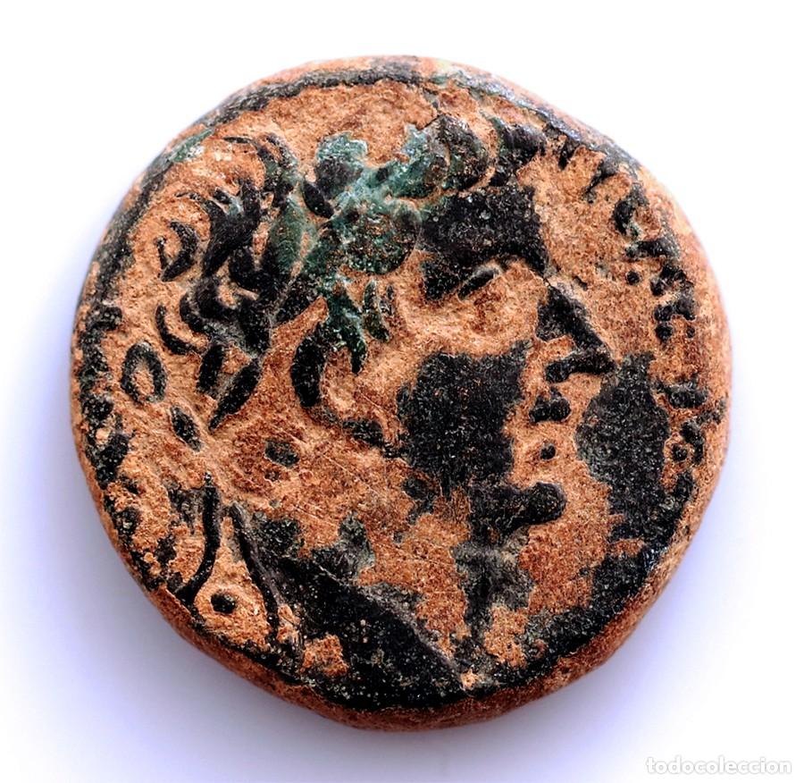 Monedas Imperio Romano: SC-Roma. Tiberio. Bronce provincial 14-37 a.C. Antioquia. Cobre 15,58 g. Escasa