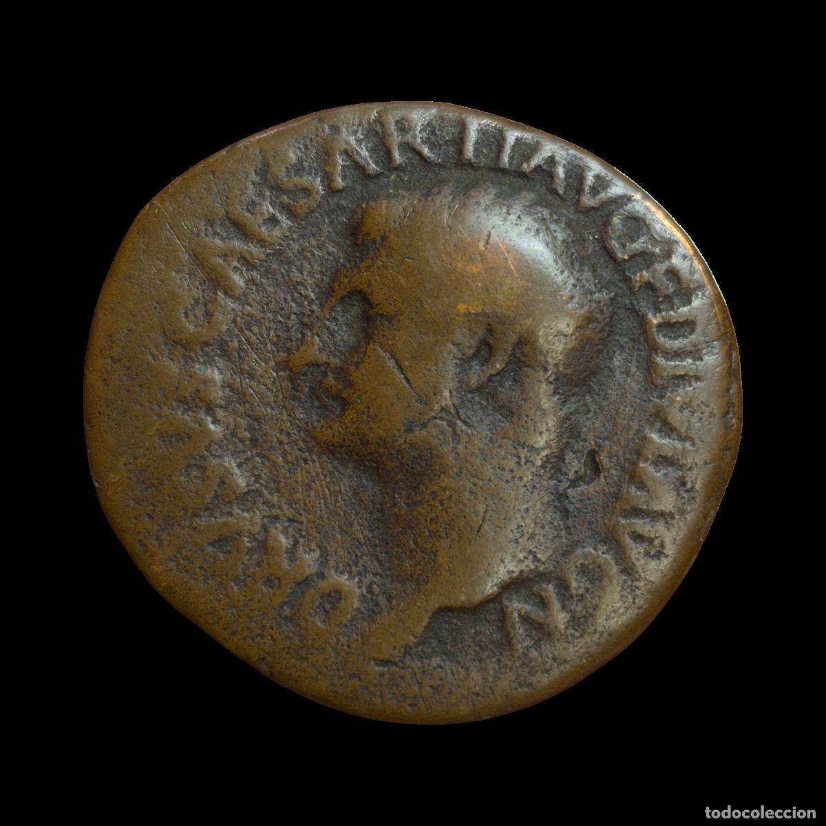 Monedas Imperio romano: NT/ AS DRUSO REV. SC (A1090) - Foto 1