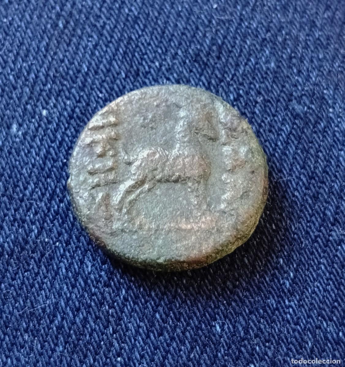 Monedas Imperio romano: *NV* TESALONICA, MACEDONIA, DIONISIO Y CABRA, 187-131 A.C., MBC+