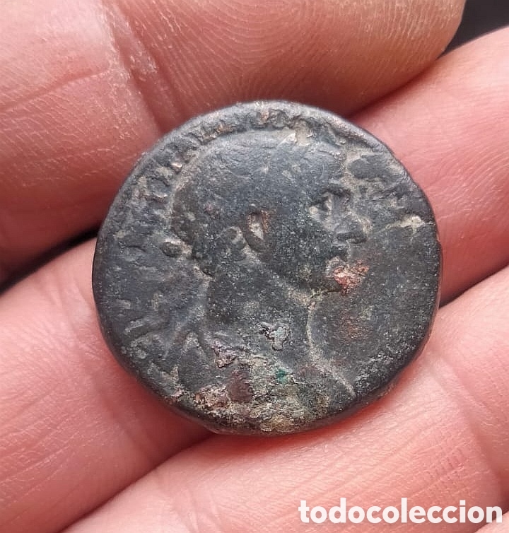 Monedas Imperio romano: Trajano - Escasa Provincial - Antioquia -