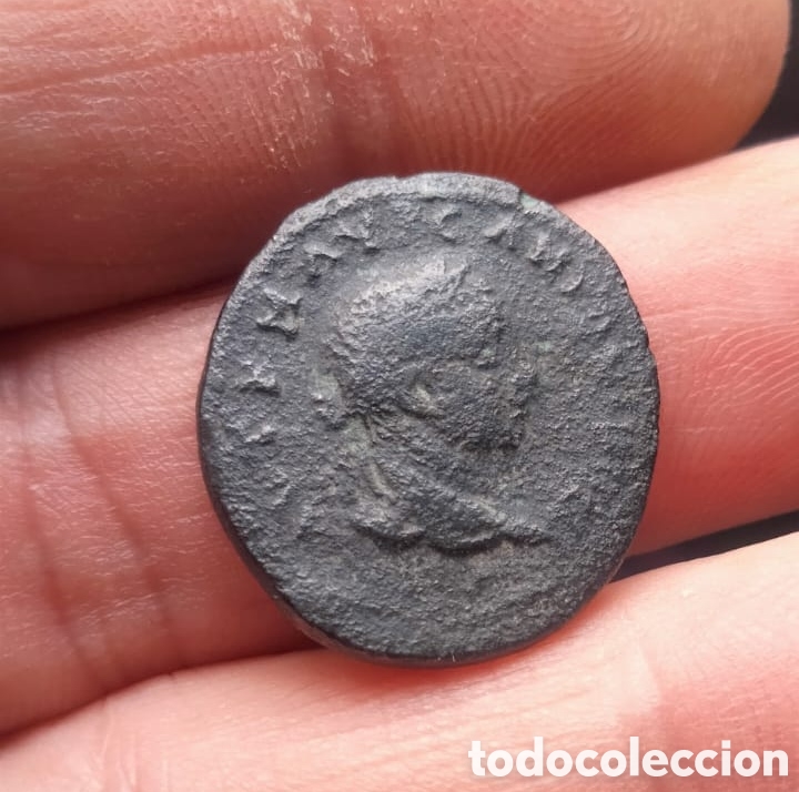 Moedas Imp&eacute;rio Romano: Heliogabalo??? Provincial - Antioquia