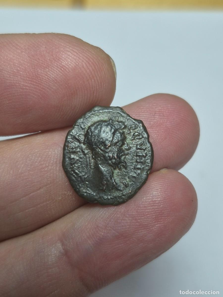 Monedas Imperio romano: NT/ MONEDA GRECORROMANA DE SEPTIMIO SEVERO 2,65 GRS (A875)
