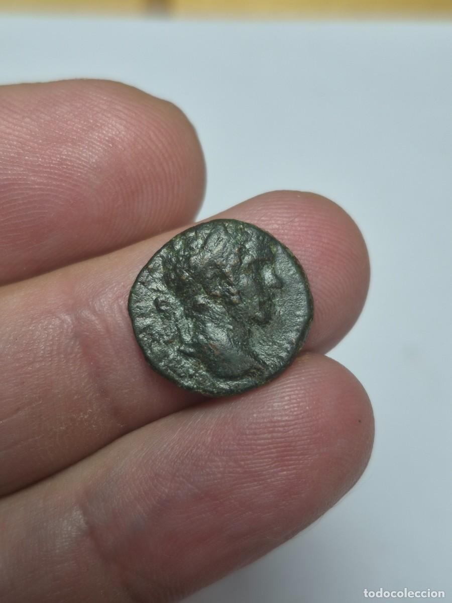 Monedas Imperio romano: NT/ DENARIO LIMES DE SEPTIMIO SEVERO 288 GRS (A876)