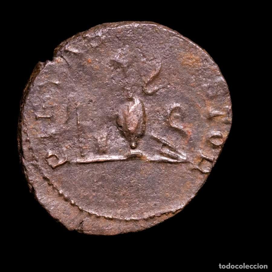 Monedas Imperio romano: Tetrico II (271-274 dC) antoniniano de bronce. Colonia PIETAS AVGG.