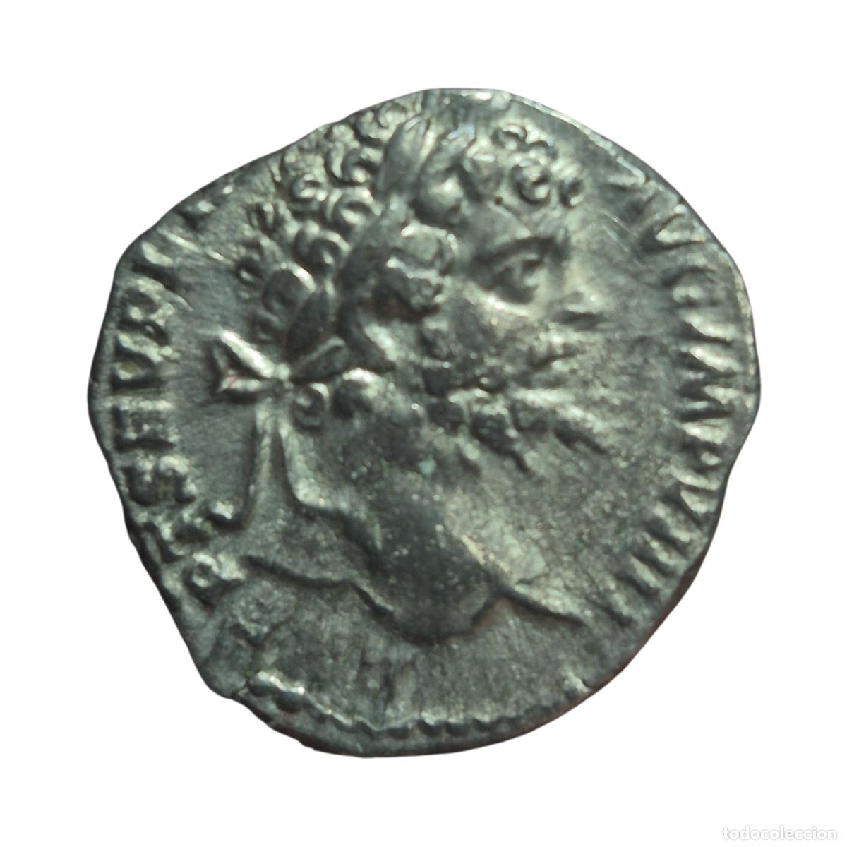 Monedas Imperio romano: NT / DENARIO SEPTIMIO SEVERO PROFECTIO (A1211)