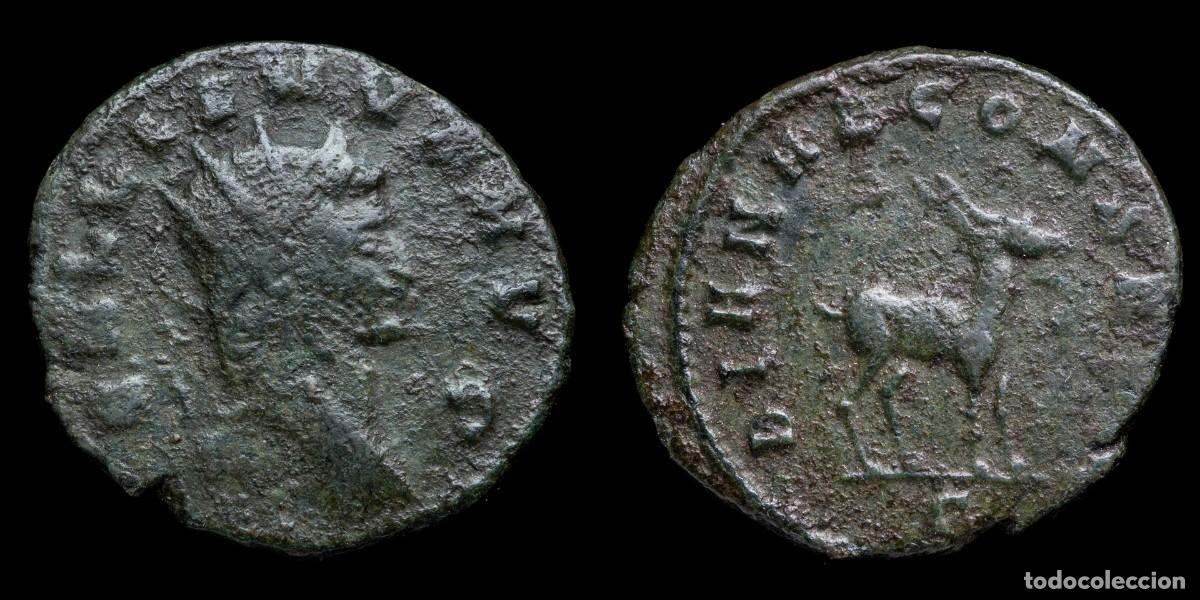Monedas Imperio romano: Gallienus Antoninianus - DIANAE CONS AVG, Rome - 22 mm / 3,31 gr.