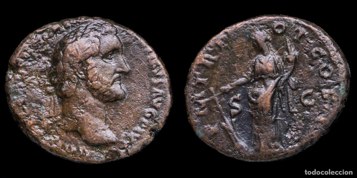 Monedas Imperio romano: Antoninus Pius As - P M TR POT COS II - 28 mm / 11,33 gr.