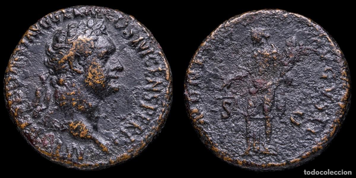 Monedas Imperio romano: Domitian As - MONETA AVGVSTI SC - 26 mm / 11,04 gr.