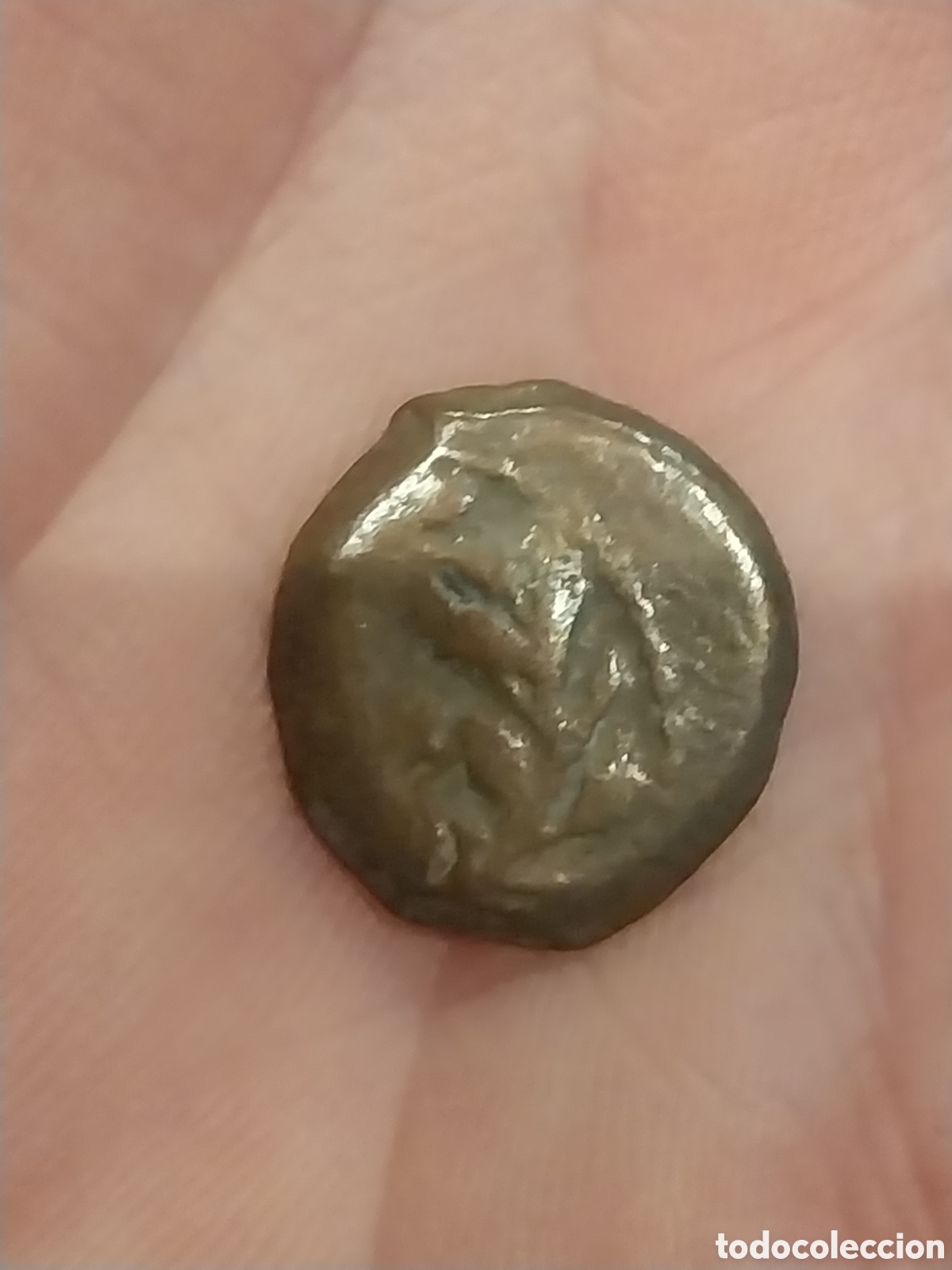 Monedas Imperio romano: Raro Prutah d Poncio Pilato. - Foto 4