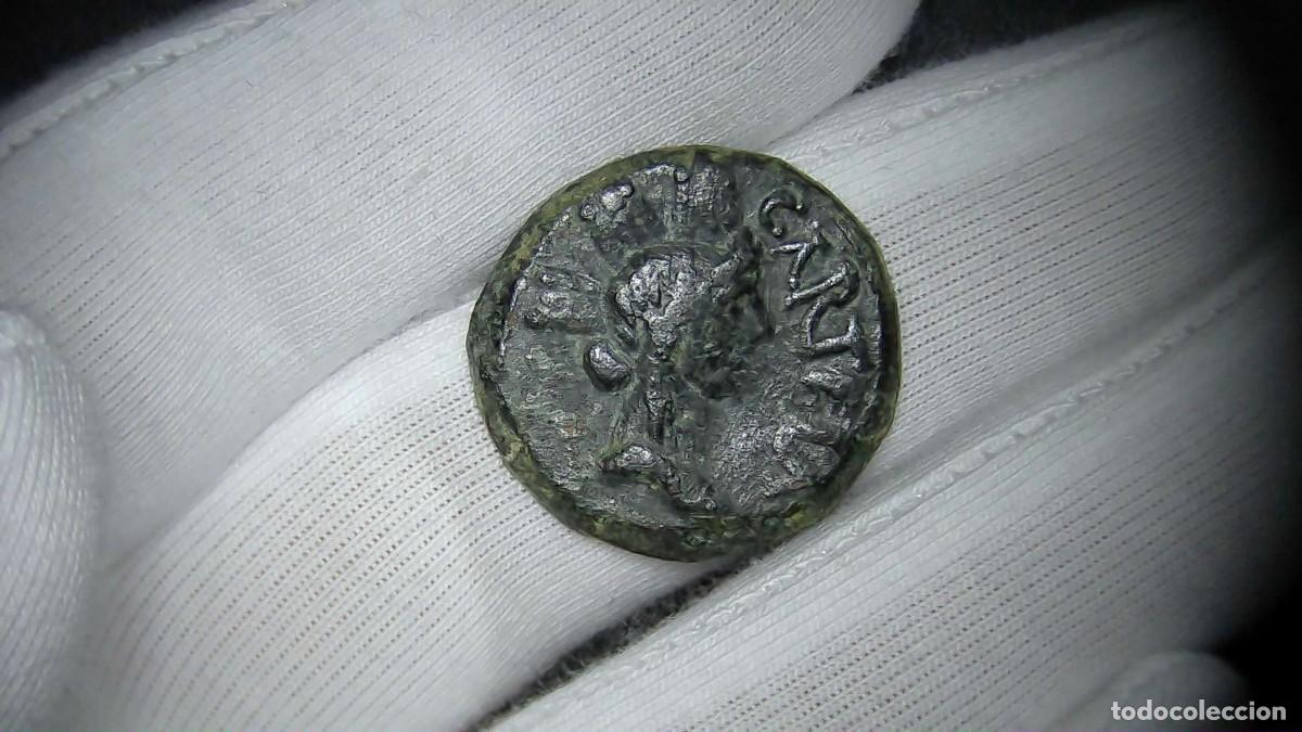 Monedas Imperio romano: Augusto Semis Carteia (Hispania), Neptuno MBC