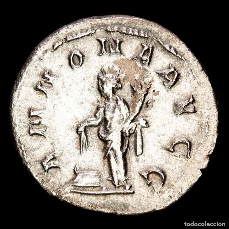 Monedas Imperio romano: Imperio Romano - Filipo I. Antoniniano AR. ANNONA AVGG Roma (02)