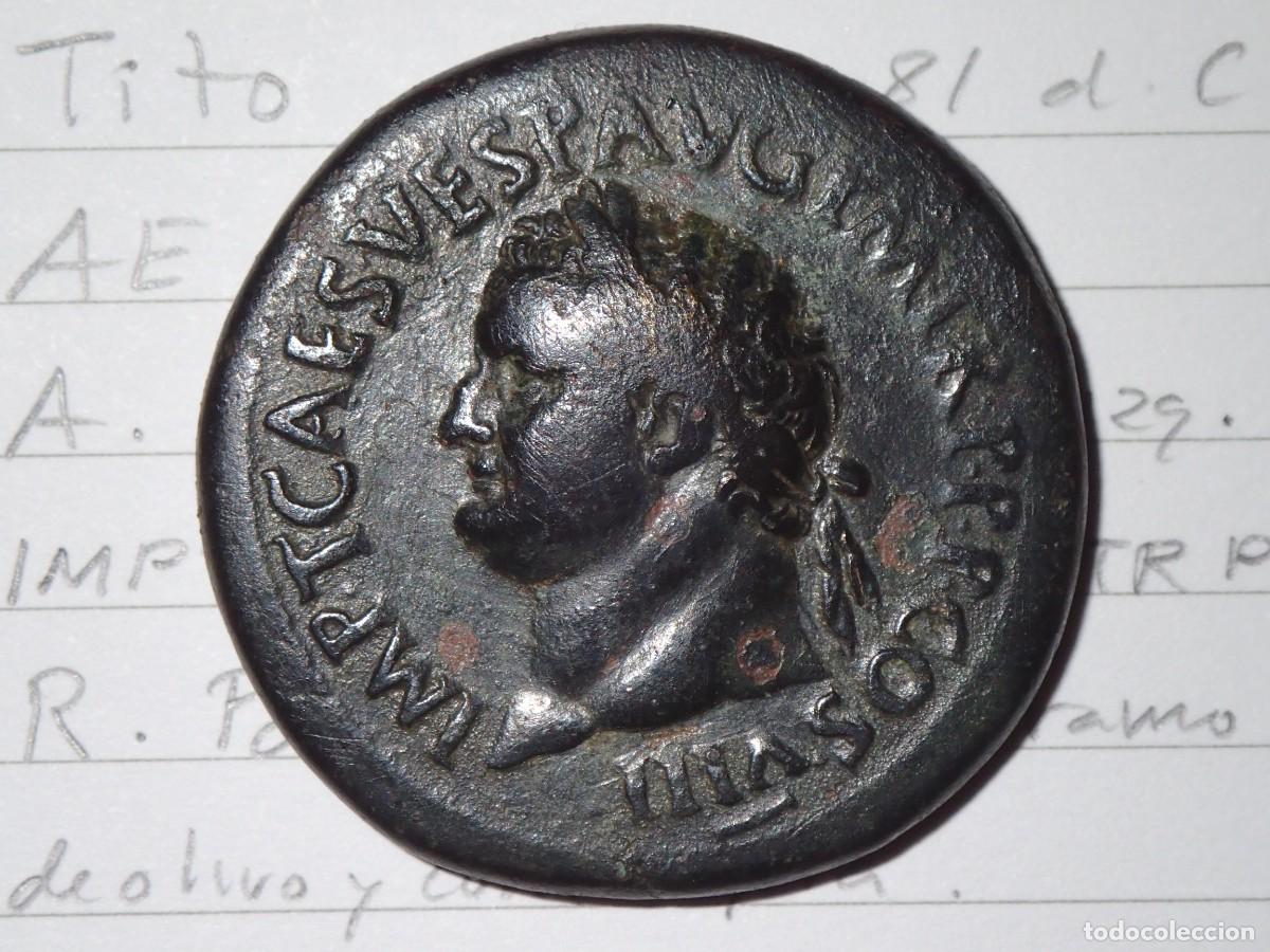Monedas Imperio romano: AE SESTERCIO TITO PAX Roma 80 Sesterius Titus