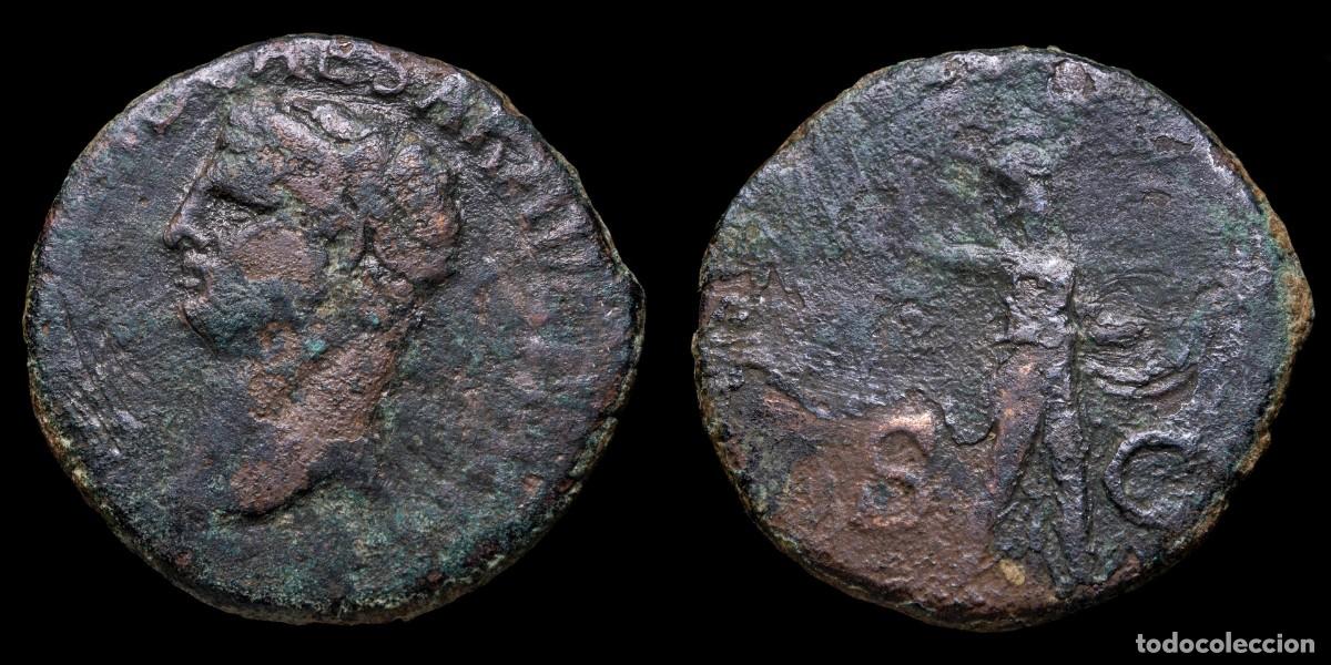 Monedas Imperio romano: Claudius As - MINERVA SC - 26 mm / 9,39 gr.