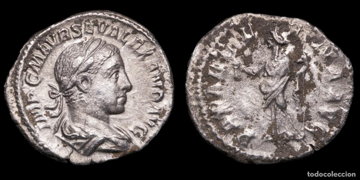 Monedas Imperio romano: Severus Alexander Denarius - PAX AETERNA AVG - 20 mm / 2,60 gr.