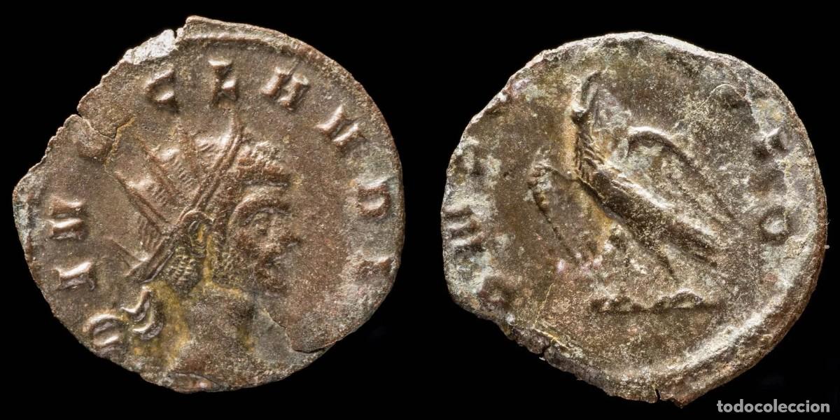Monedas Imperio romano: Claudius II Antoninianus - CONSECRATIO - 20 mm / 2.62 gr.