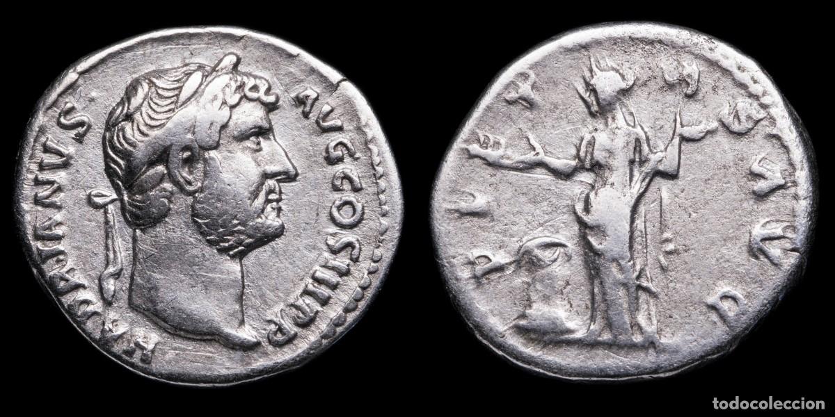 Monedas Imperio romano: Hadrian Denarius - PIETAS AVG - 17 mm / 3,40 gr.