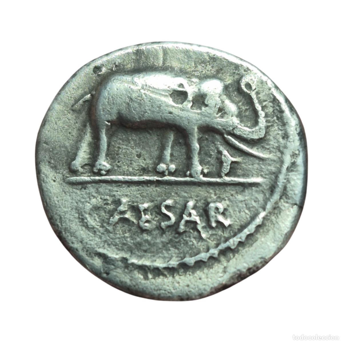 Monedas Imperio romano: NT / DENARIO JULIO CESAR ELEFANTE (A1222)