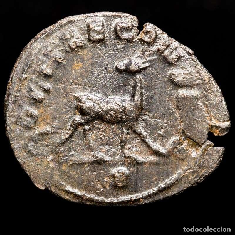 Monedas Imperio romano: Galieno - antoniniano de Roma DIANAE CONS AVG / Є Ciervo (15174)