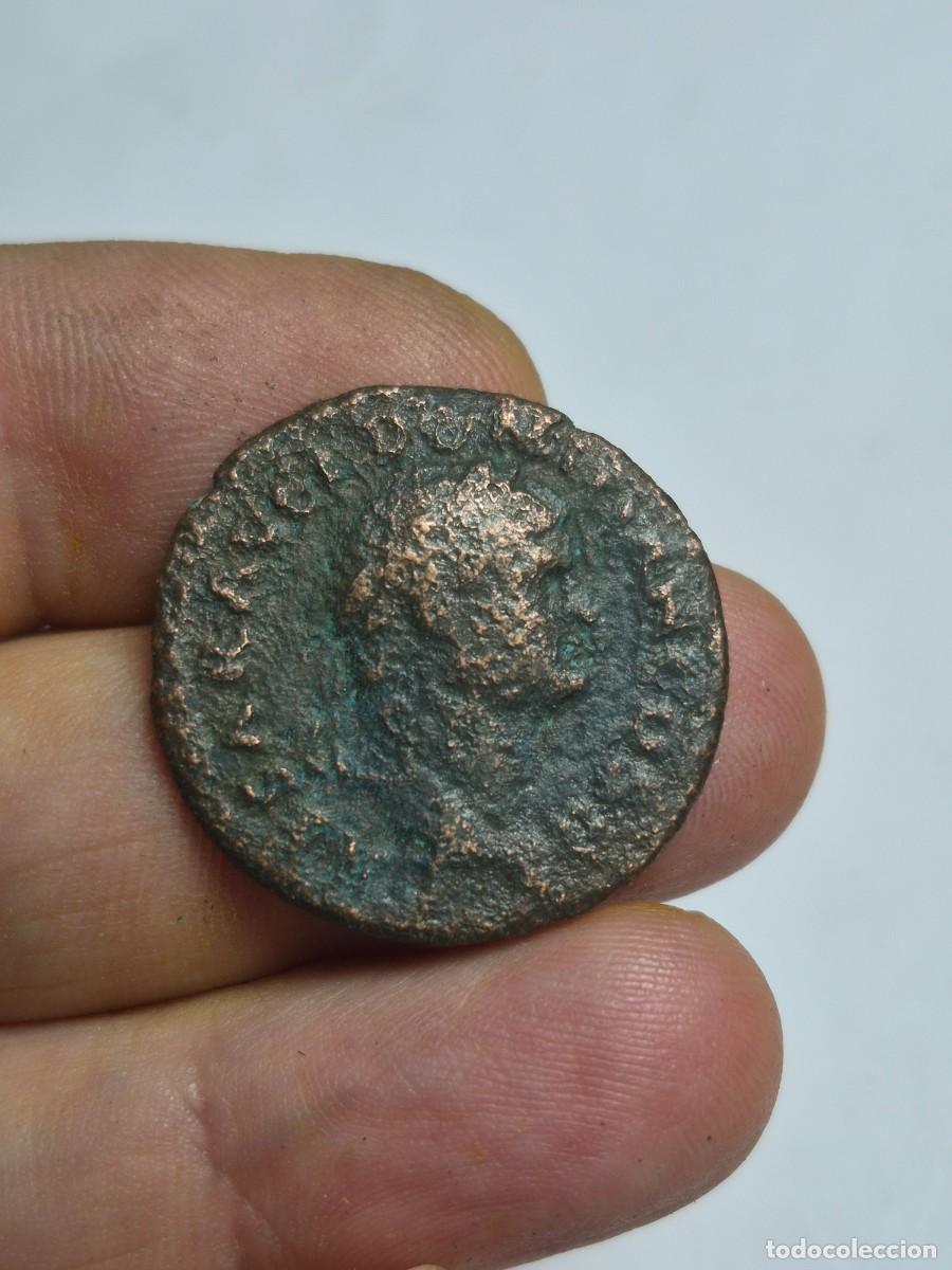 Monedas Imperio romano: NT/ AS DOMICIANO REV. SPES 9,78 grs (A1258)